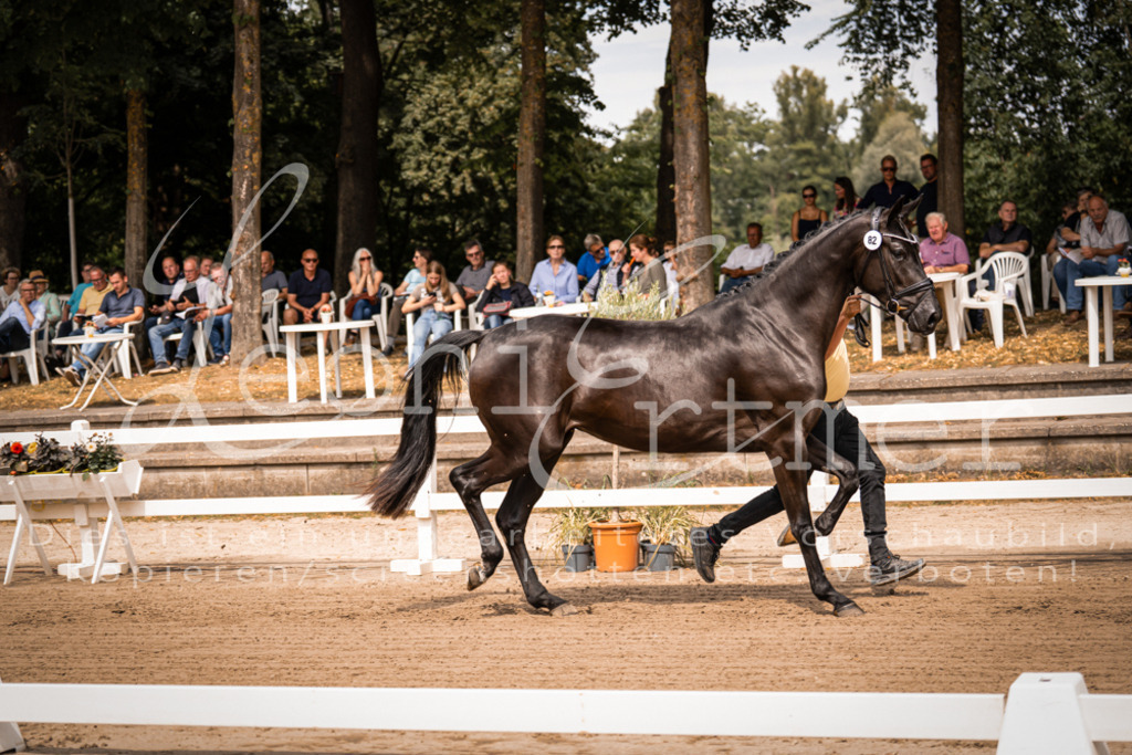 4.Fr00115 | Leoni Ertmer Photography - Realisiert mit Pictrs.com