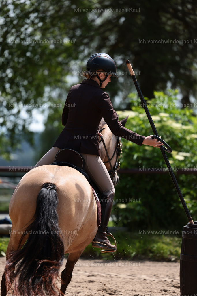 KlasseA_Stoibphotography_C2_L5492.JPG | working equitationturnier fotograf videograf stoibphotography marixx film working equitation deutschland reitsport turnierfotografie eventfotografie equestrian events