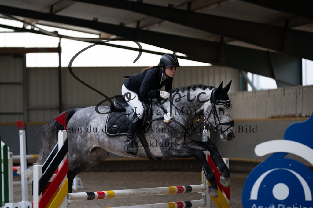 A7V07164 | Pferdefotograf