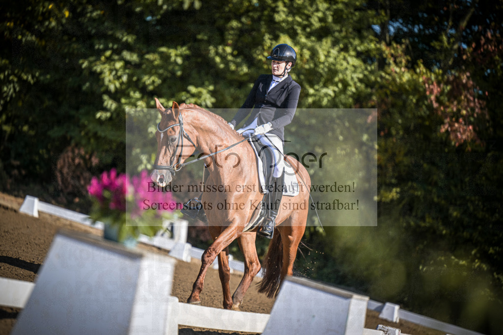 DOS_2084 | Entdecke hochwertige Reitturnierfotos von Foto Oger. Professionell, emotional und authentisch – jetzt Lieblingsmomente im Shop bestellen.Deutschlandweite Turnierfotografie. - Realisiert mit Pictrs.com