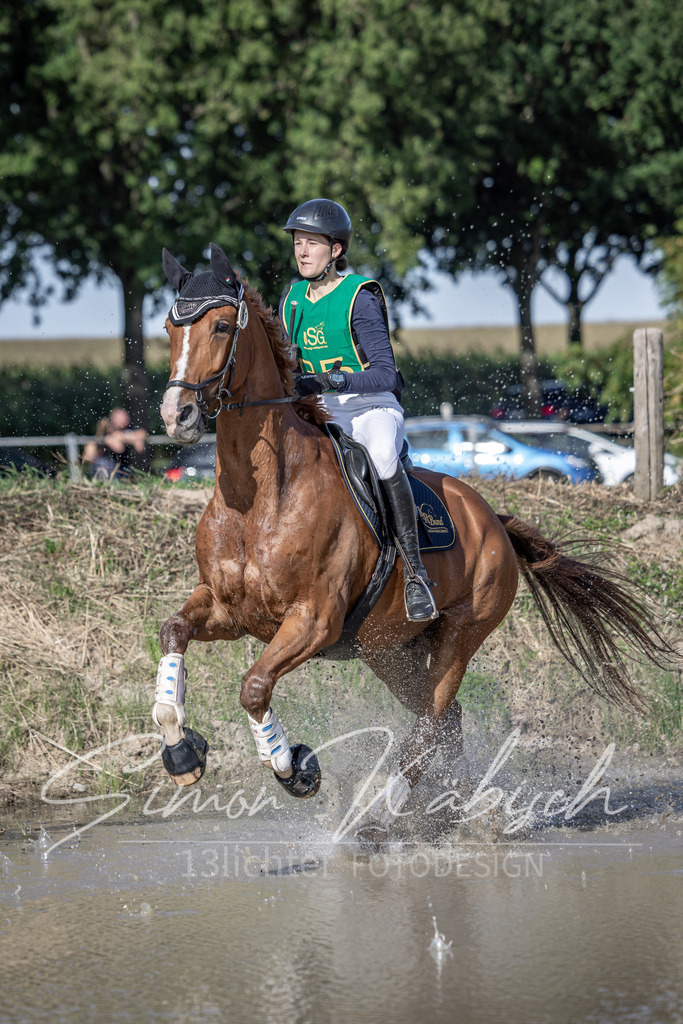 20250907-_3LI3663 | Tierfotografie Pferde, Hunde, Katzen, Haustiere.
Turnierfotografie Reitturniere, Reiten, Springreiten, Dressur in Hanau, dem Main-Kinzig-Kreis und dem Rhein-Main- Gebiet um Frankfurt