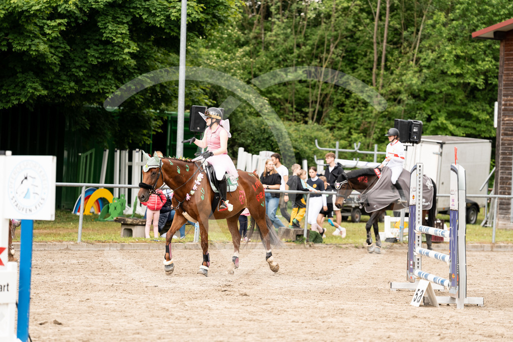 DSC09081 | Carolin Gieschke