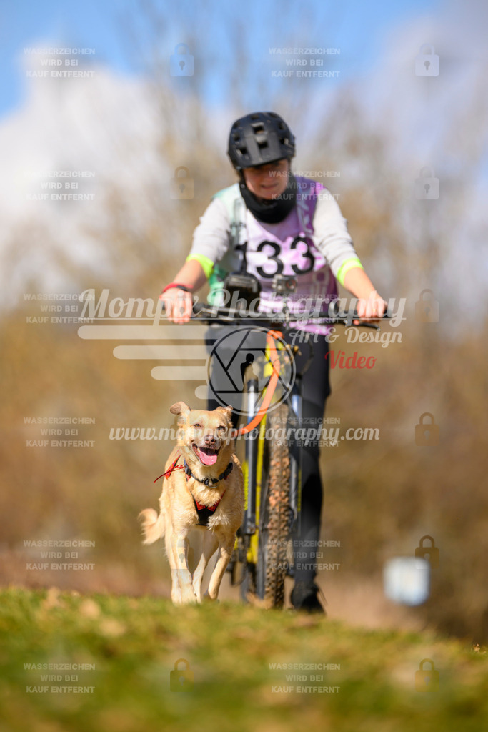 MompixPhotography_10Schwabentrail2026_SO_Bike-114 | PayLife