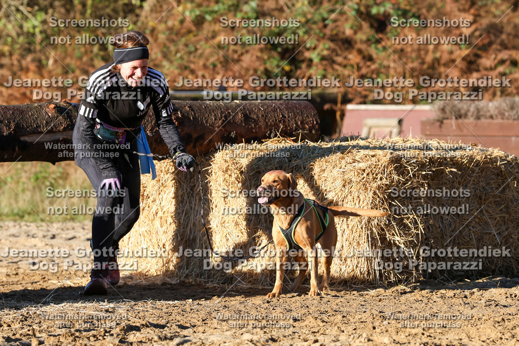 Dog Paparazzi - Strongdog 10-25-1239 | Dog Paparazzi Jeanette Grottendiek Fotografie & Videografie - Realisiert mit Pictrs.com