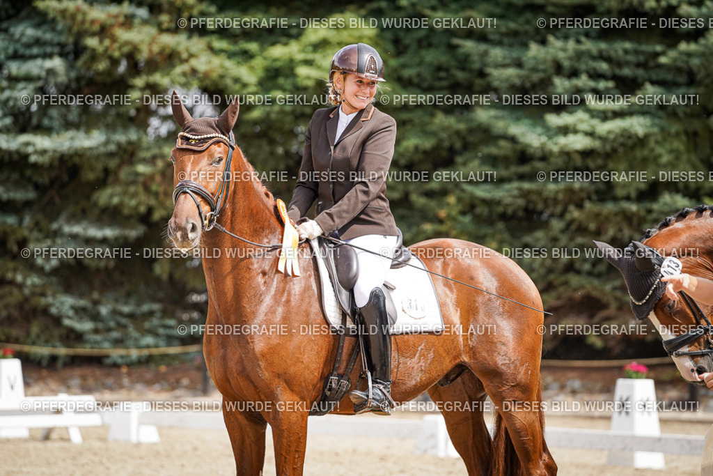 DSC09660 | Pferdegrafie