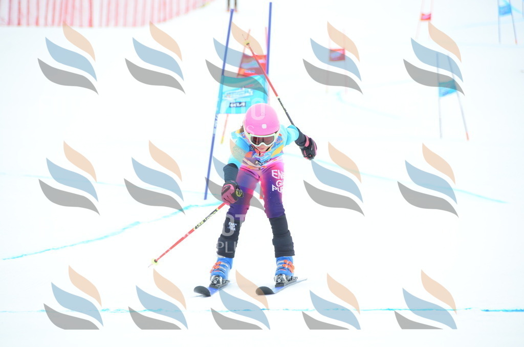 DSC_0643 | holidayphoto