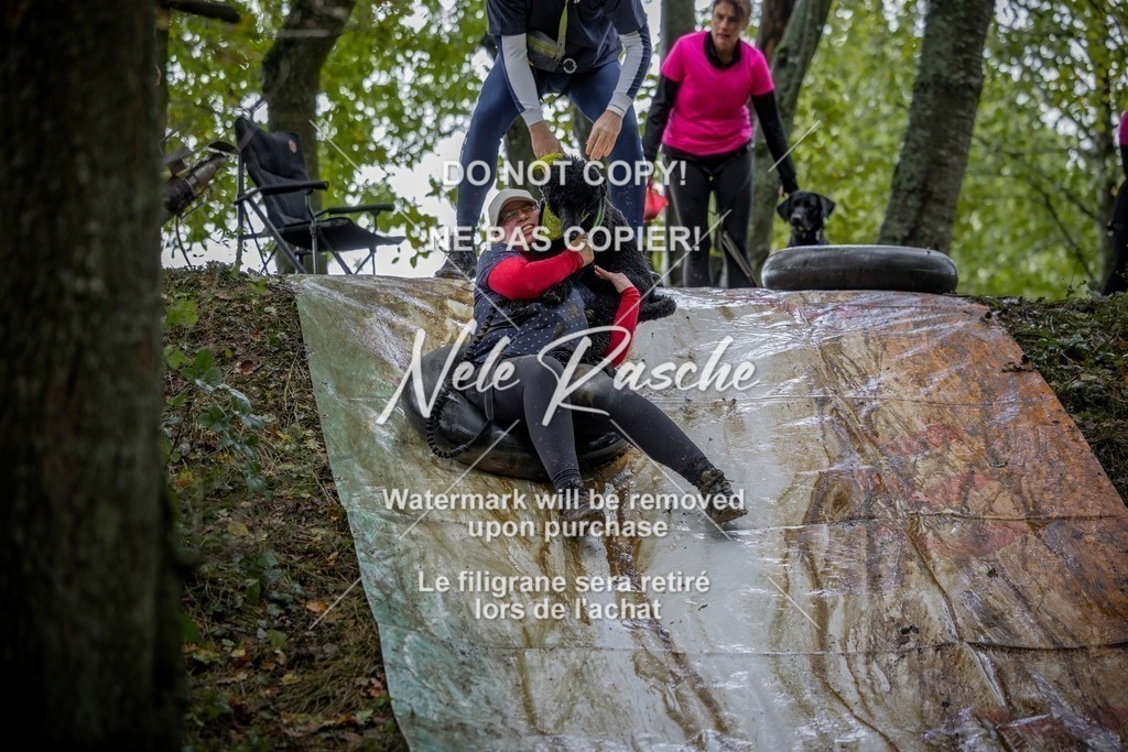 nelerasche_Hunsrück_Sa1430-1500_177-final | nelerasche
