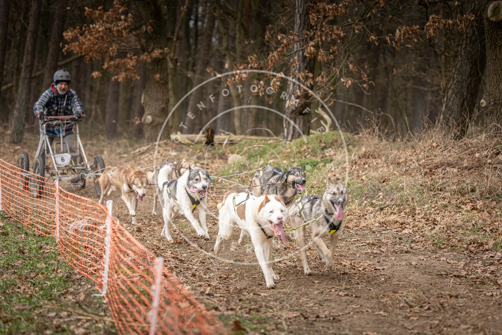 Pfotenfotografie_DV3A2259 | Hundefotografie, Tierfotograf, Pfotenfotografie, Fotoshooting Hund, Hunde Portrait, Hundesport, Hundeportraits, Heideshooting, Hunde, Sportfotograf, Hundefotograf, Turnierhundsport, THS,  - Realisiert mit Pictrs.com