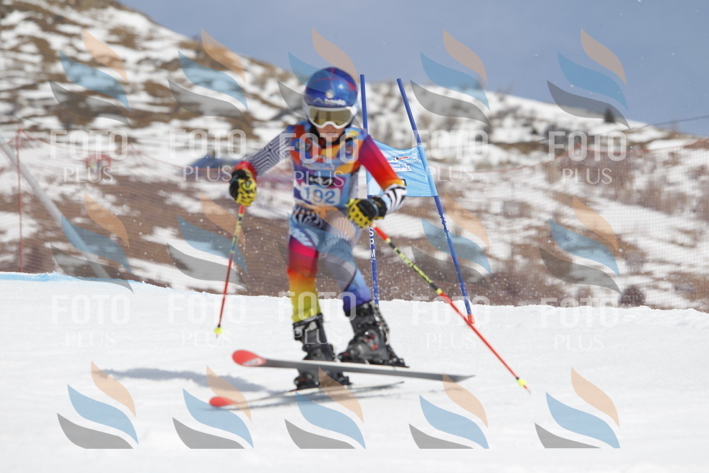 _U3G1909 | holidayphoto