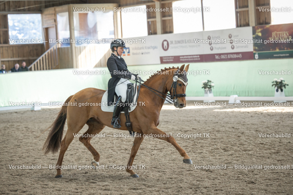 _D5A0105 | Emotionale Pferde- & People-Fotografie rund um Heidelberg, Leimen & Umgebung. Natürliche Fotos von Pferd, Mensch & Familie. Jetzt Termin sichern!