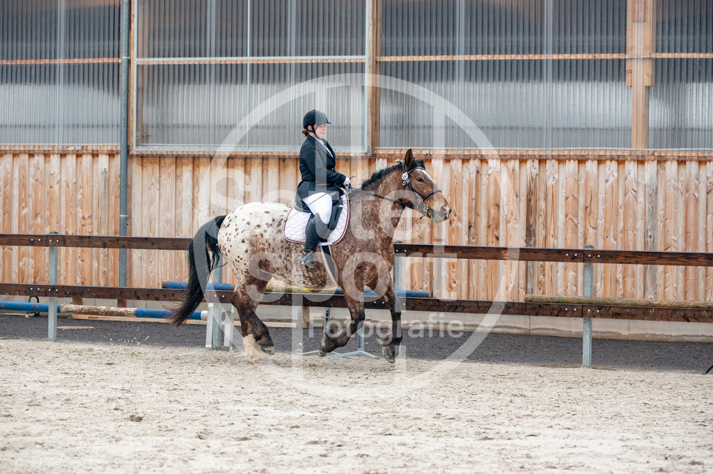 DSC_4952 | sattelsport - Realisiert mit Pictrs.com