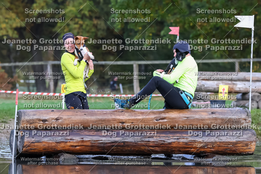 Dog Paparazzi - Strongdog 10-25-6888 | Dog Paparazzi Jeanette Grottendiek Fotografie & Videografie - Realisiert mit Pictrs.com