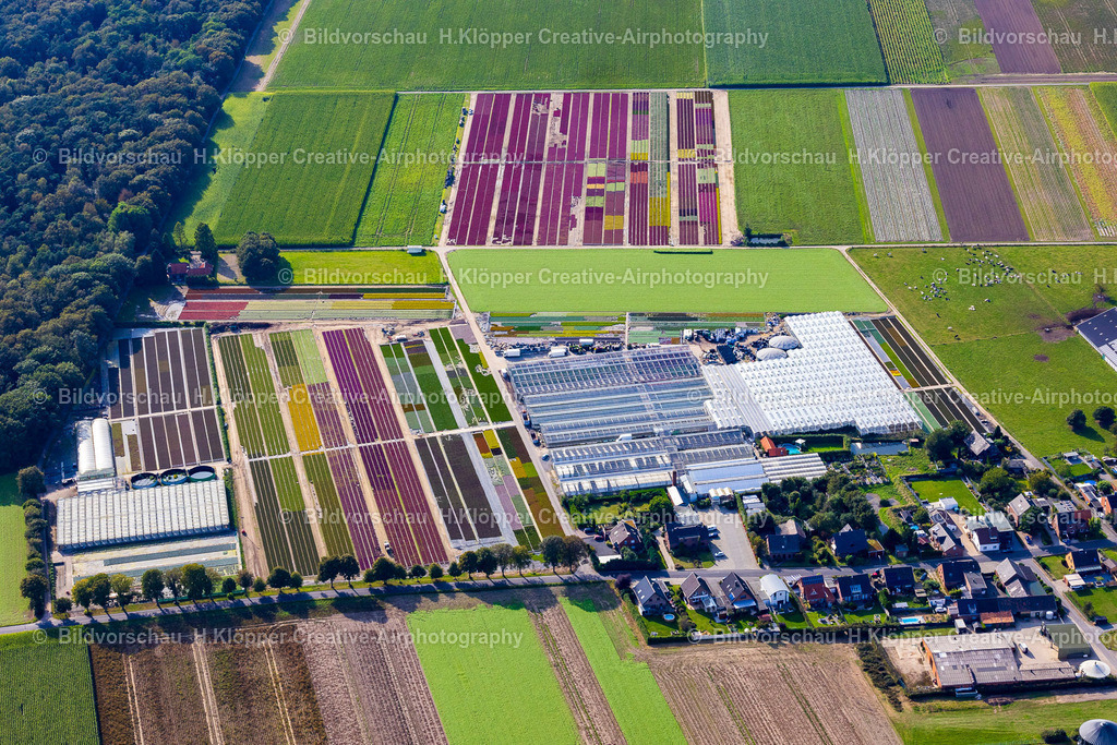Luftbilder Brüggen Gartenbaubetrieb-3845 | Luftbildfotografie und Luftbildfotograf Hermann Klöpper - Realisiert mit Pictrs.com