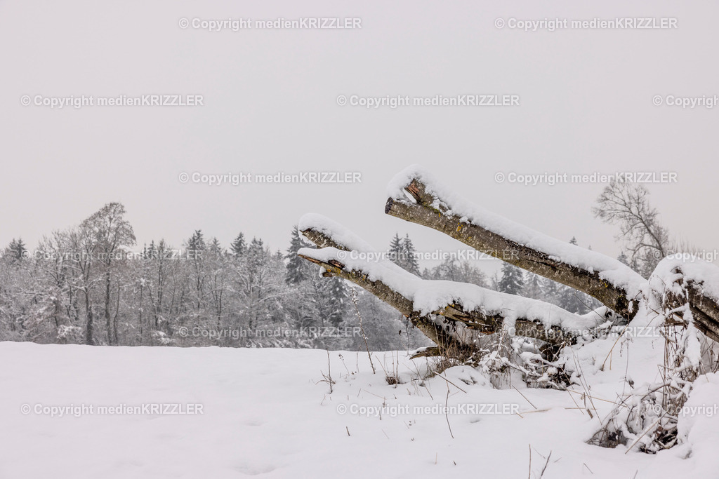 _J3A9576 | medienkrizzler - Realisiert mit Pictrs.com