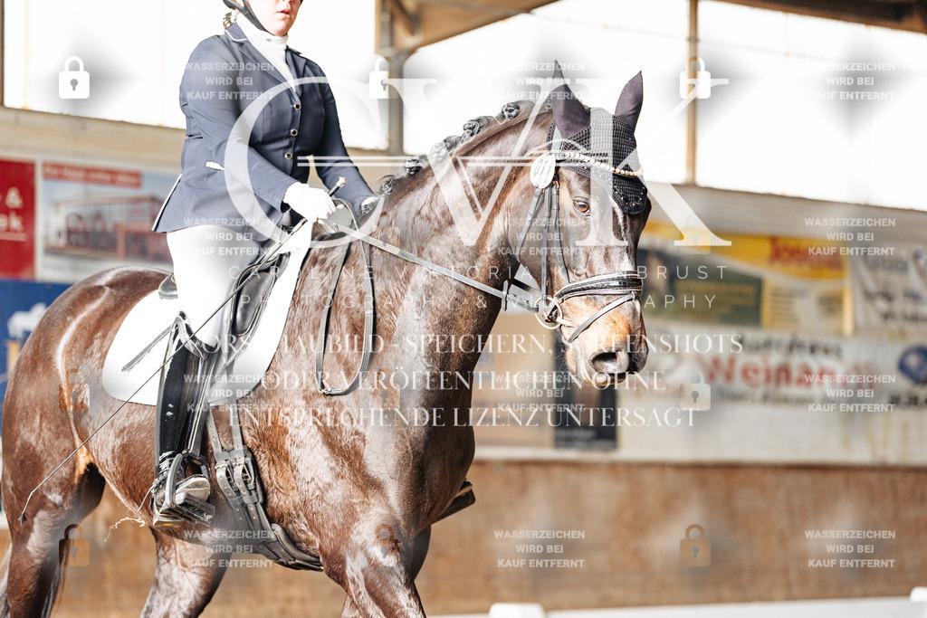 CK902278 | Turnierfotografie Pferdefotografie Trier Rheinland-Pfalz Pferdesport Reitsport Tierfotografie Sportfotografie Pferdevideo Pferdevideografie Equestrianvideography equestrianphotography  - Realisiert mit Pictrs.com