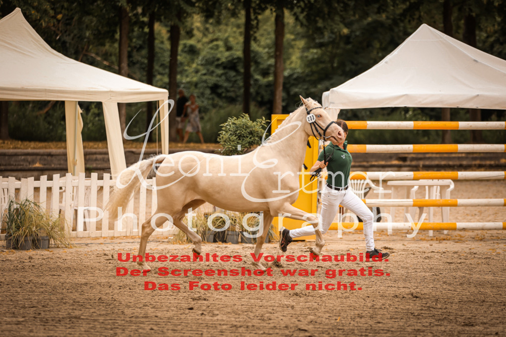 12.So00071 | Leoni Ertmer Photography - Realisiert mit Pictrs.com