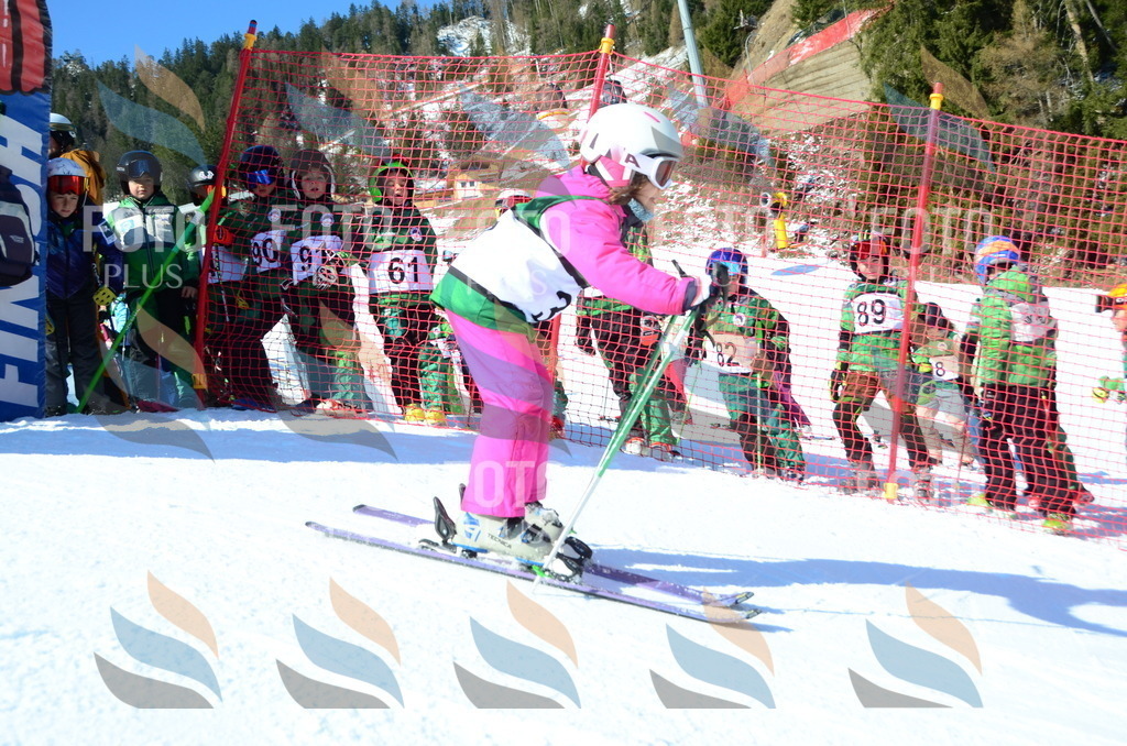 C5001 | holidayphoto