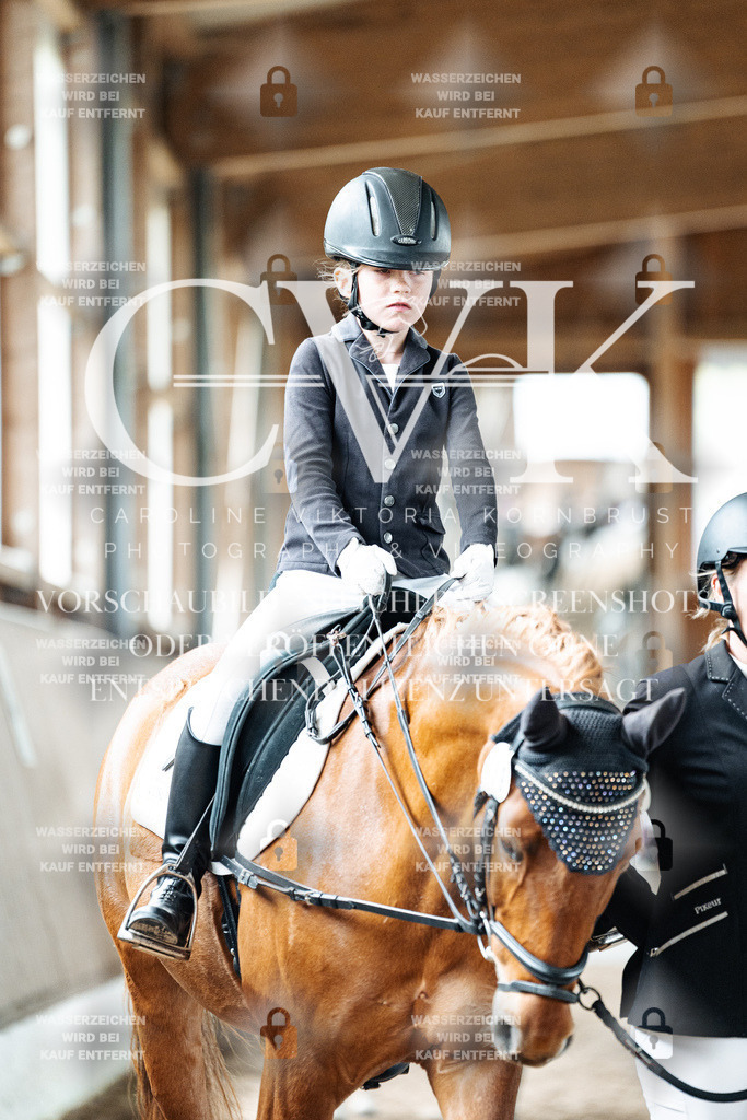 CK902045 | Turnierfotografie Pferdefotografie Trier Rheinland-Pfalz Pferdesport Reitsport Tierfotografie Sportfotografie Pferdevideo Pferdevideografie Equestrianvideography equestrianphotography  - Realized with Pictrs.com