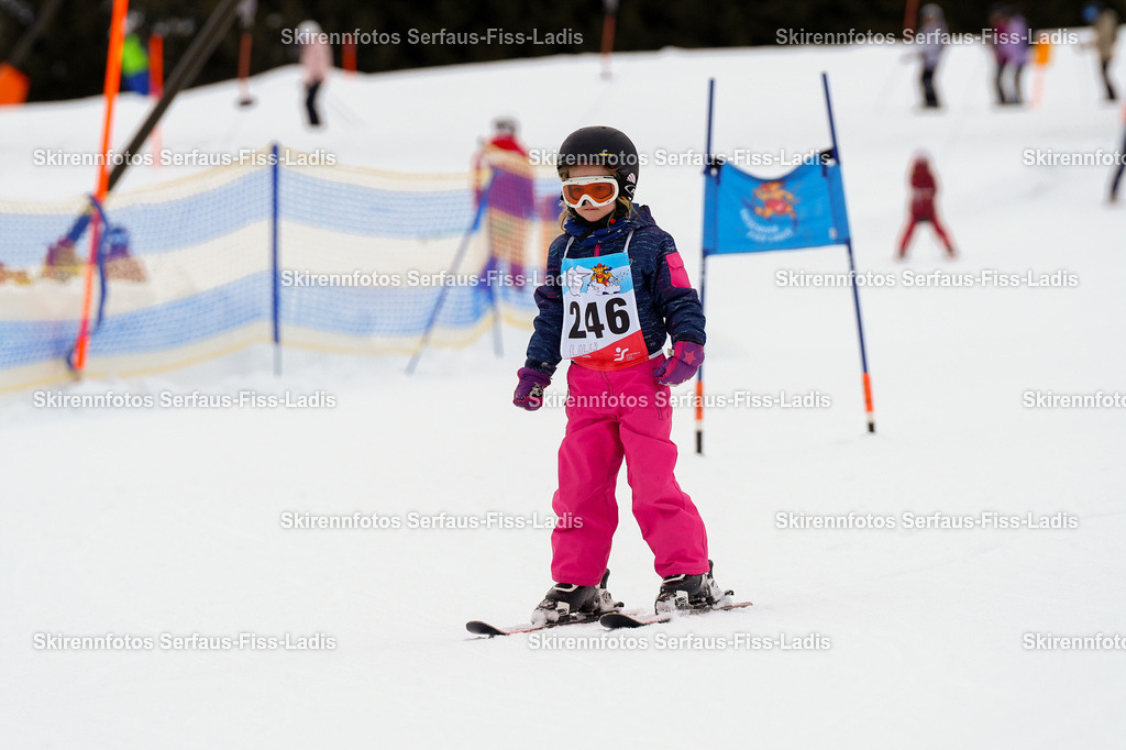 SRF_06.02.2026_0181 | SRF_06.02.2026_0181 - Realisiert mit Pictrs.com