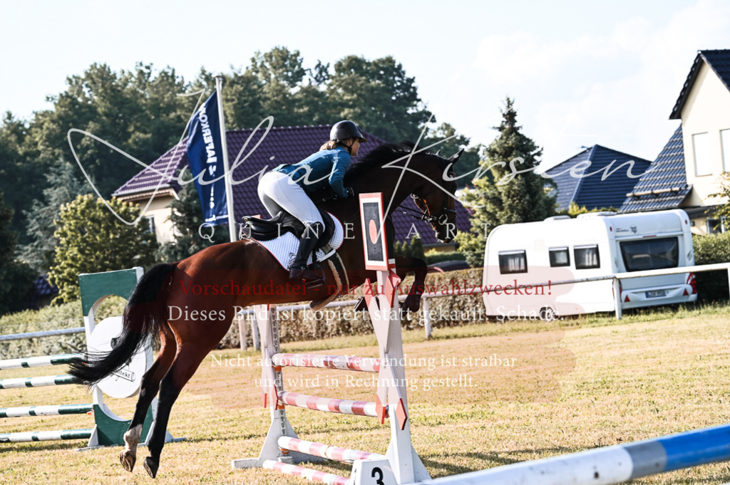 DSC_7560 | Pferde- und Turnierfotografie in Westsachsen. Pferdeportraits, Auftragszeichnungen und intuitive Kunst.
