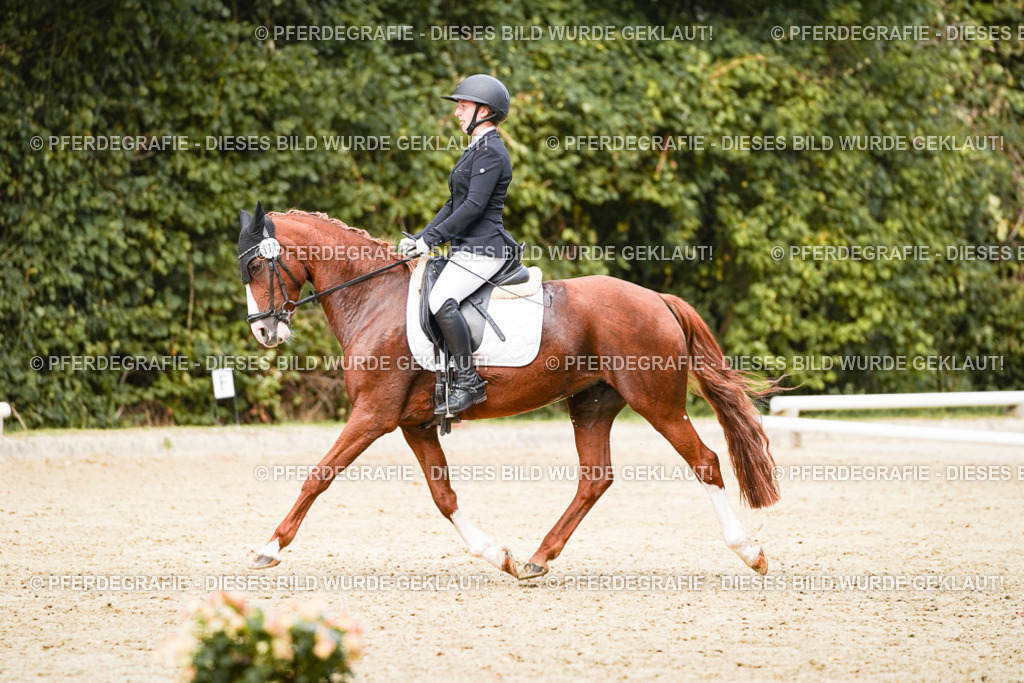 DSC03747 | Pferdegrafie