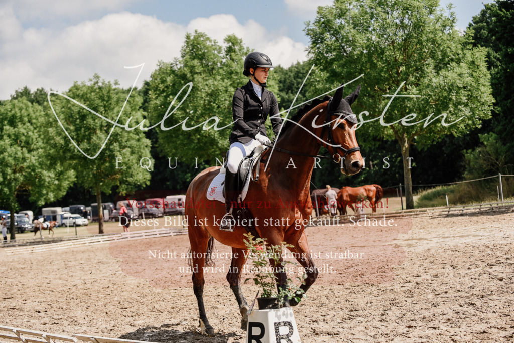 DSC_1007 | Pferde- und Turnierfotografie in Westsachsen. Pferdeportraits, Auftragszeichnungen und intuitive Kunst.