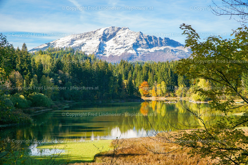 Otscher  (32) | Fotos und Fotoprodukte - Realisiert mit Pictrs.com