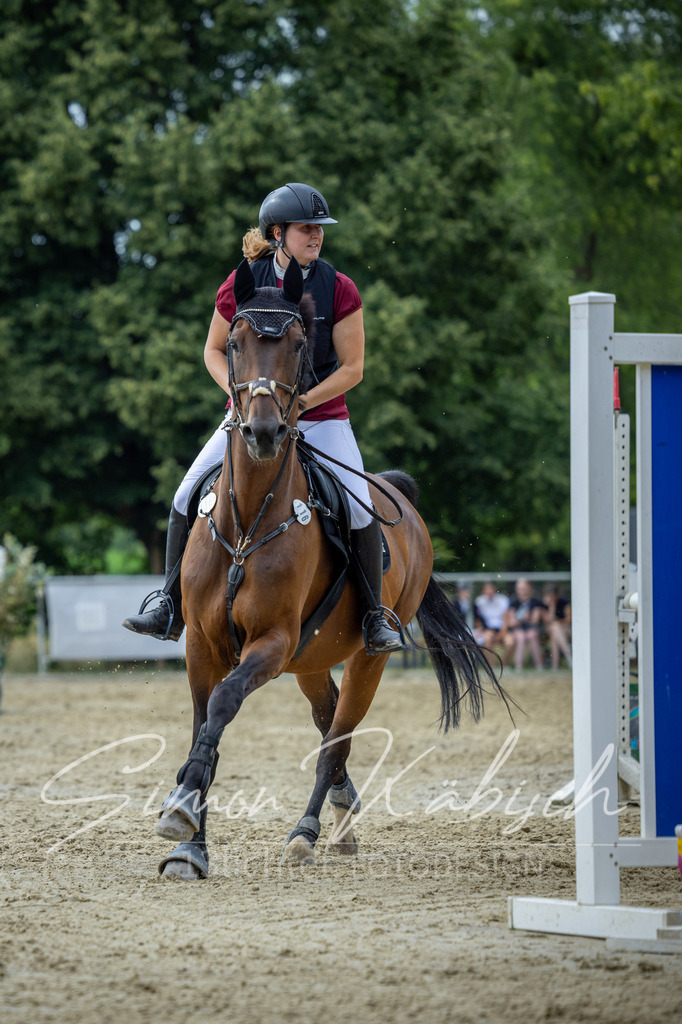 20260704-_3LI1753 | Tierfotografie Pferde, Hunde, Katzen, Haustiere.
Turnierfotografie Reitturniere, Reiten, Springreiten, Dressur in Hanau, dem Main-Kinzig-Kreis und dem Rhein-Main- Gebiet um Frankfurt