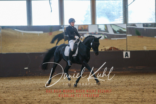 IMG_7587 | Turniersportfotografie; Pferdefotografie; Dressurfotografie