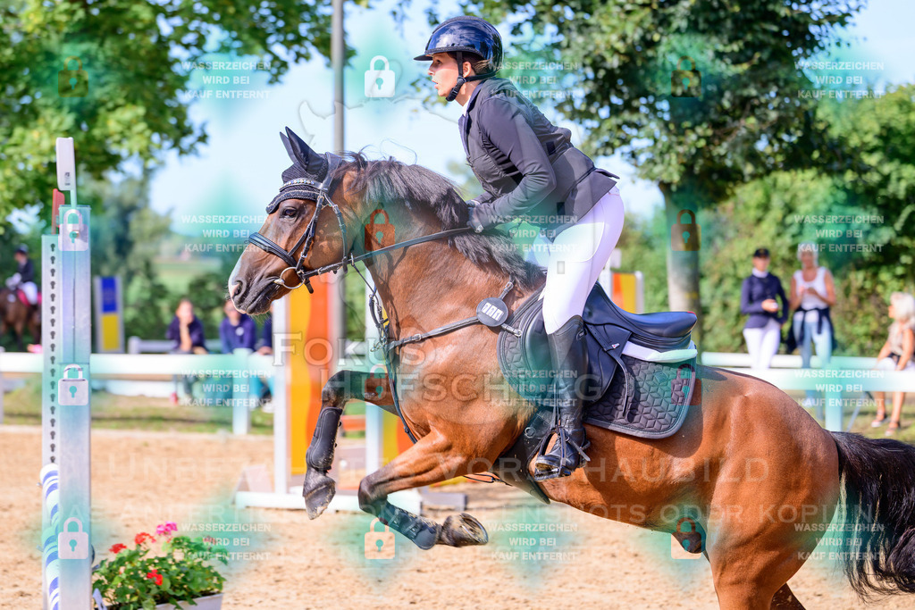 30082026-Giesenbach-Prfg16-0606 | Fokus Hufschlag Fotografie - Realisiert mit Pictrs.com