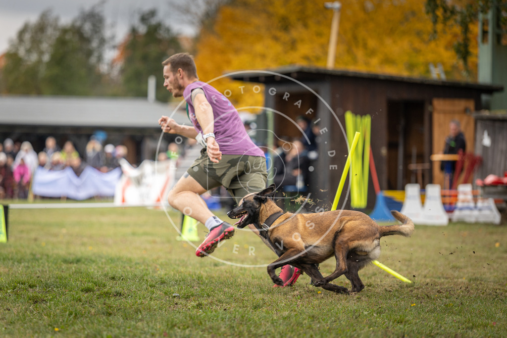 Pfotenfotografie_DV3A7827 | Hundefotografie, Tierfotograf, Pfotenfotografie, Fotoshooting Hund, Hunde Portrait, Hundesport, Hundeportraits, Heideshooting, Hunde, Sportfotograf, Hundefotograf, Turnierhundsport, THS,  - Realisiert mit Pictrs.com