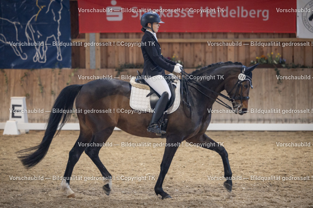 _D5A1905 | Emotionale Pferde- & People-Fotografie rund um Heidelberg, Leimen & Umgebung. Natürliche Fotos von Pferd, Mensch & Familie. Jetzt Termin sichern!