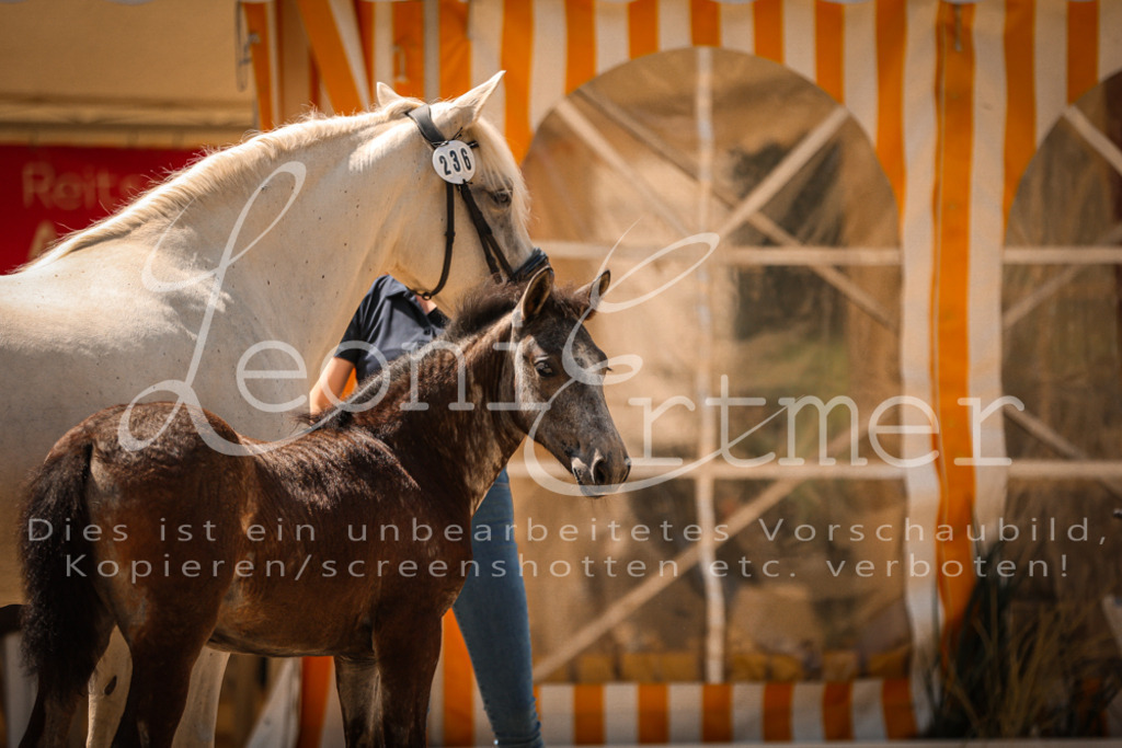 02.DoSR00174 | Leoni Ertmer Photography - Realisiert mit Pictrs.com