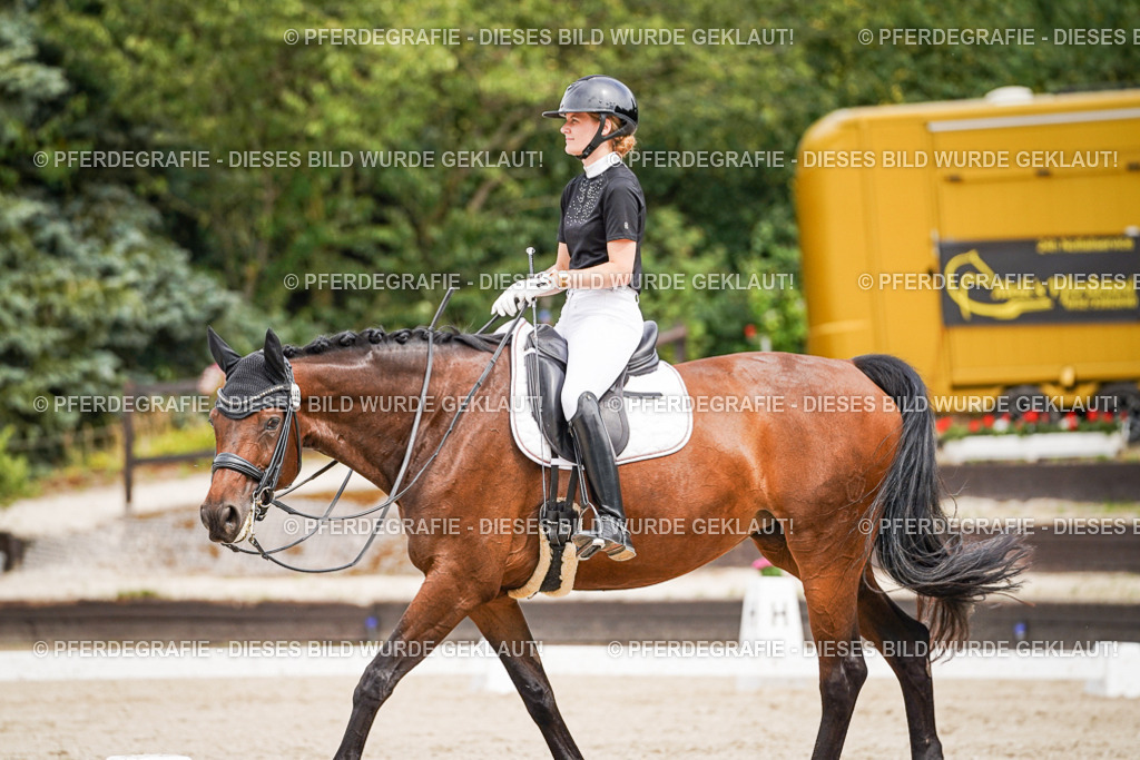 DSC06171 | Pferdegrafie