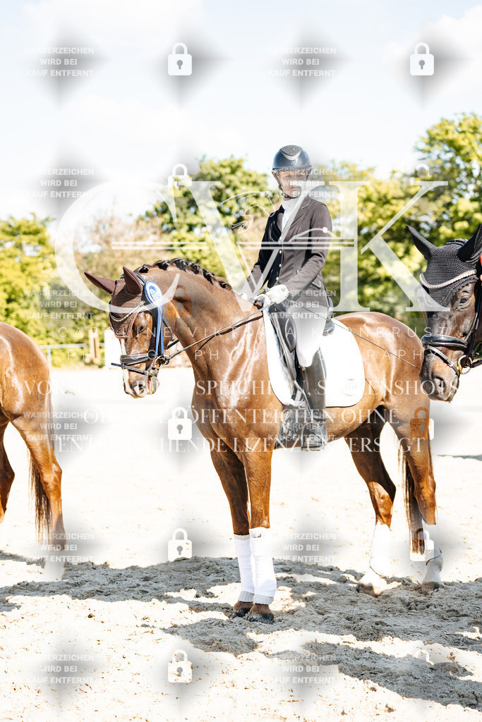 CK703564 | Turnierfotografie Pferdefotografie Trier Rheinland-Pfalz Pferdesport Reitsport Tierfotografie Sportfotografie Pferdevideo Pferdevideografie Equestrianvideography equestrianphotography  - Realisiert mit Pictrs.com