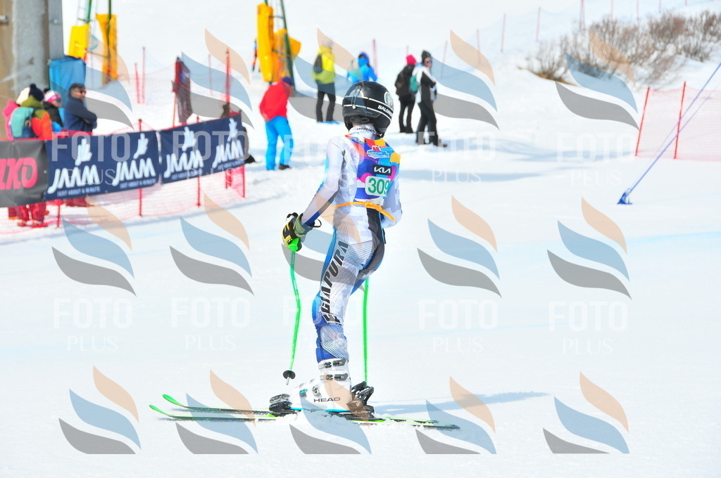 DSC_2859 | holidayphoto