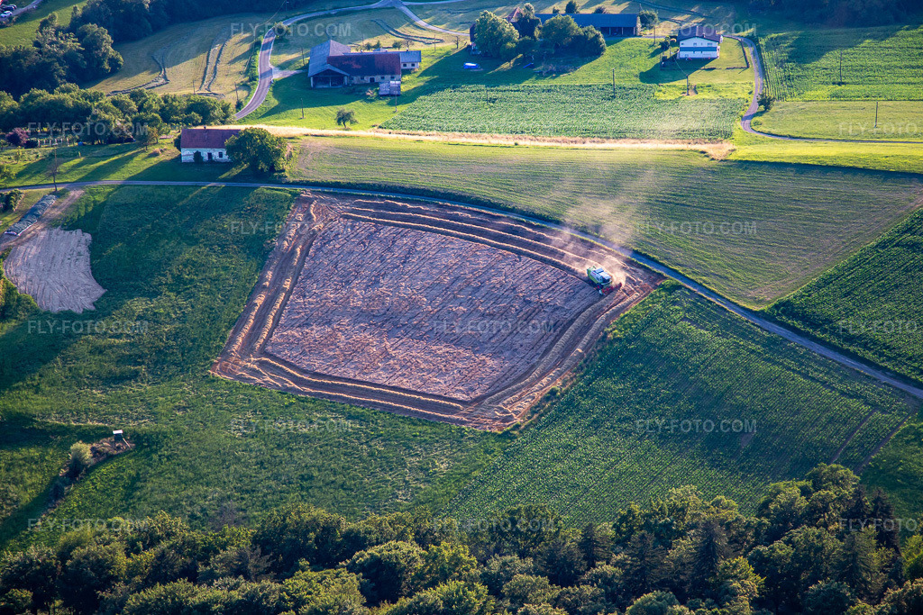 Aerial view: Grain harvest in the district Zgornji Duplek in Duplek in the state Slovenia, Slovenia.Photo: IMG_137370.jpg taken on 07/08/2023 by Werner Riehm/FLY-FOTO.comResolution of the original: 5472 x 3648 px