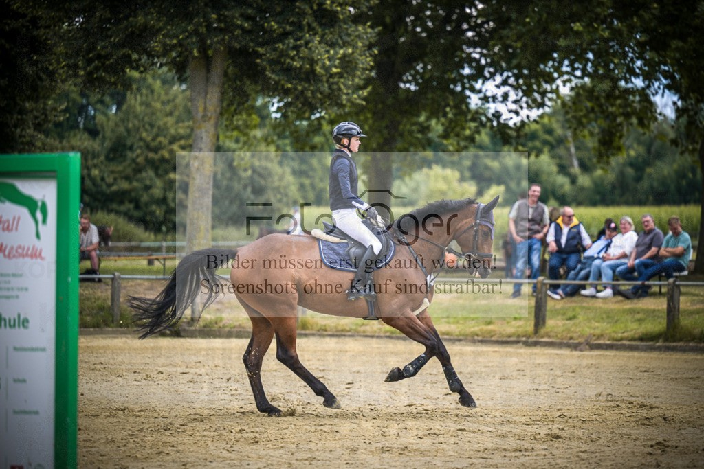 DOS_8609 | Entdecke hochwertige Reitturnierfotos von Foto Oger. Professionell, emotional und authentisch – jetzt Lieblingsmomente im Shop bestellen.Deutschlandweite Turnierfotografie. - Realisiert mit Pictrs.com