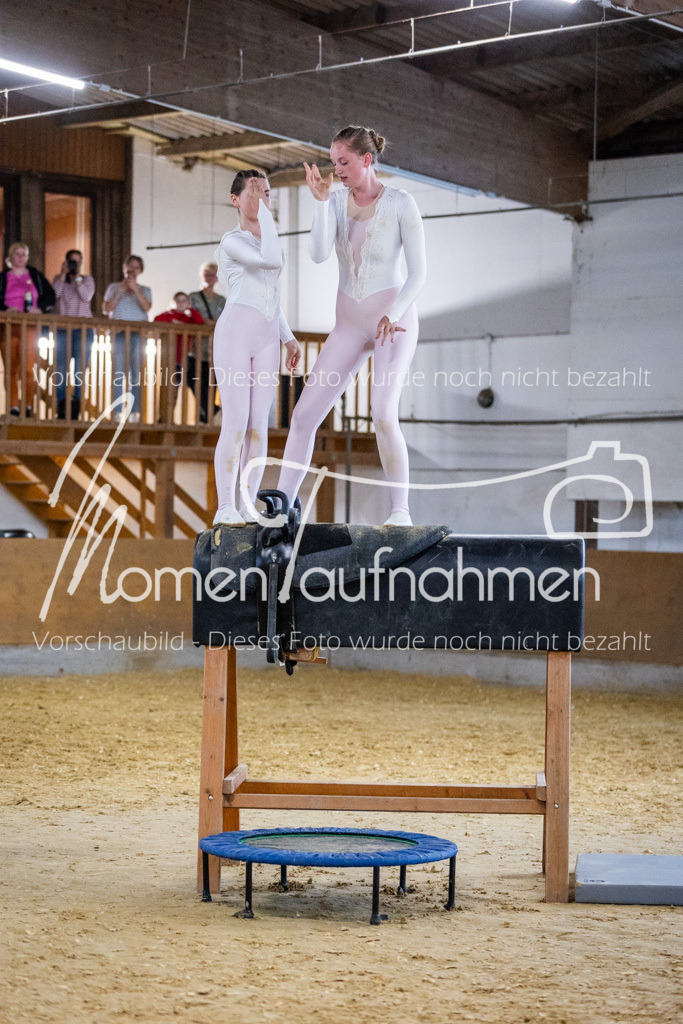 Holzpferd-106 | MomenTaufnahmen Pferdesportfotos