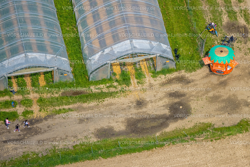 Dortmund240507396 | Erdbeerfelder mit Schutzabdeckung, Erdbeeranbau unter Folie, Erdbeer Verkaufswagen, Bönninghauser Straße, Luftbild, Hostedde, Dortmund, Ruhrgebiet, Nordrhein-Westfalen, Deutschland
