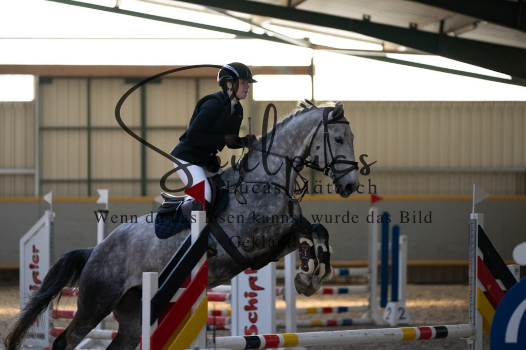 A7V06363 | Pferdefotograf