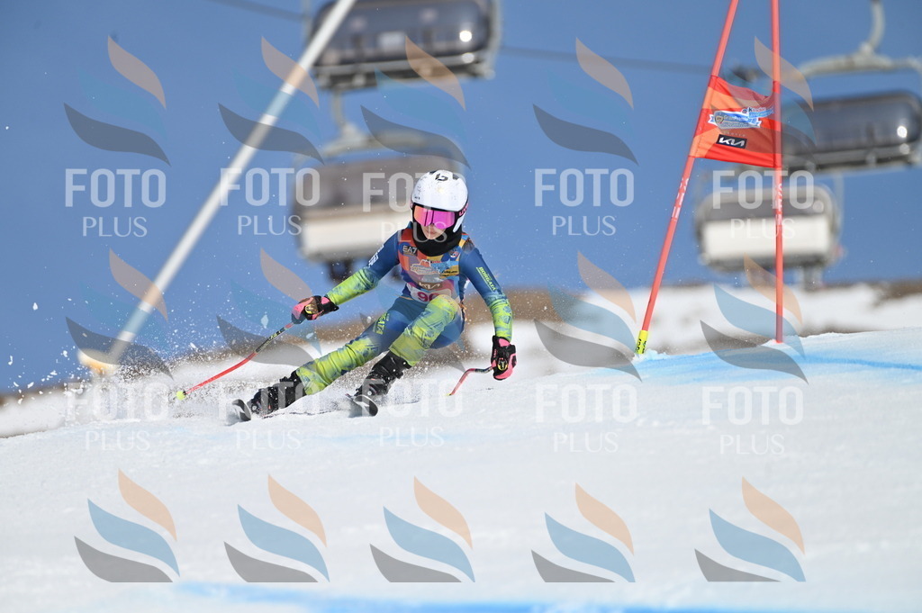 BGV_9246 | holidayphoto