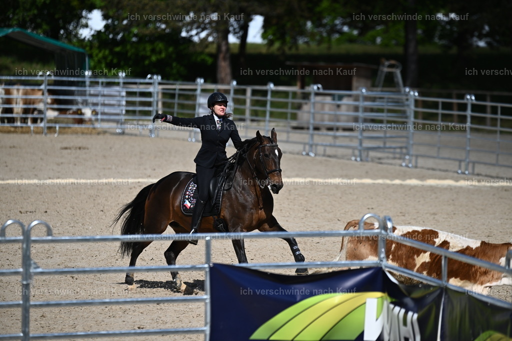 PI26_COW_Sara Landvogt226_7262.JPG | working equitationturnier fotograf videograf stoibphotography marixx film working equitation deutschland reitsport turnierfotografie eventfotografie equestrian events