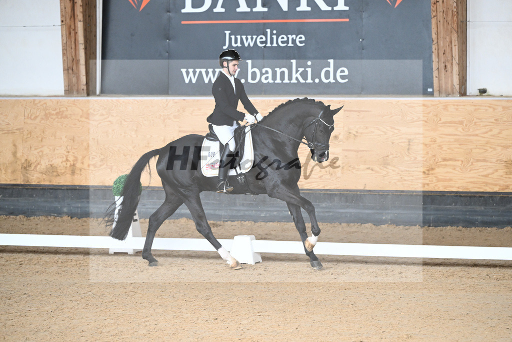 Kat-Nr. 8 Latinum v. Le Formidable_Gestuet Sprehe_5240014 | hf-fotografie - Realisiert mit Pictrs.com