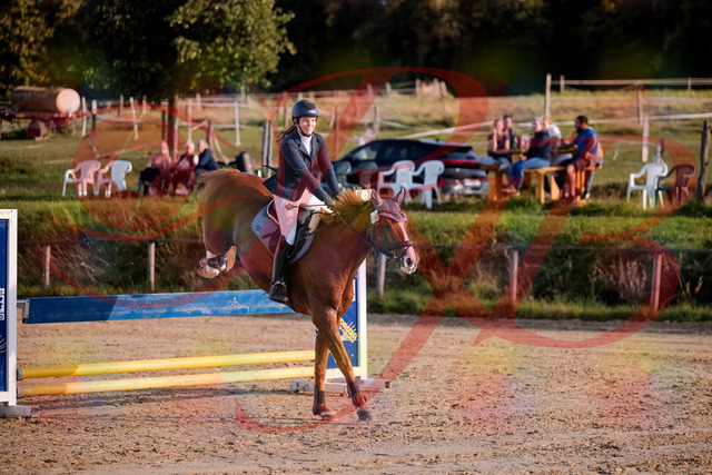 2026_10_03_Siefer-Hof_171253_Z81_10298168 | Professionelle Reitsport-, Turnier- und Eventfotografie von Robert Broda. Galerien mit ausgewählten und bearbeiteten Bildern direkt online ansehen und bestellen.