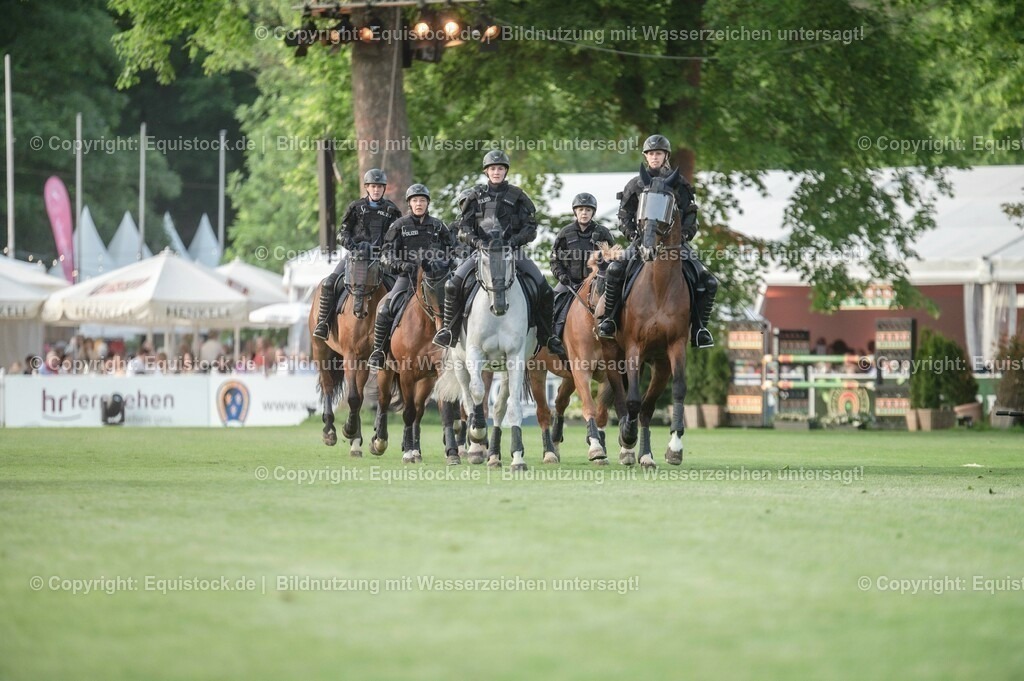 20230526_Pferdenacht_0385 | equistock