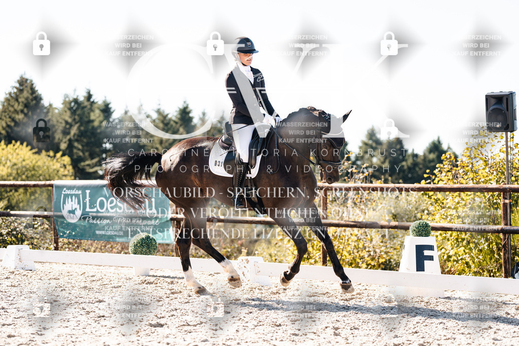 CK905850 | Turnierfotografie Pferdefotografie Trier Rheinland-Pfalz Pferdesport Reitsport Tierfotografie Sportfotografie Pferdevideo Pferdevideografie Equestrianvideography equestrianphotography  - Realisiert mit Pictrs.com