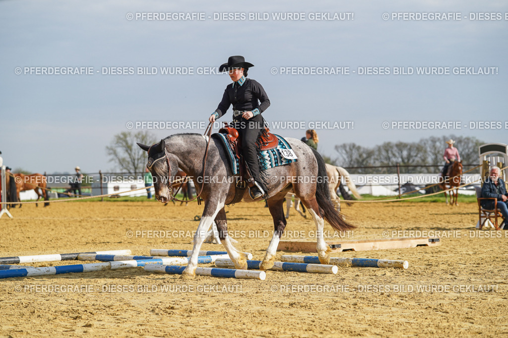 DSC01172 | Pferdegrafie