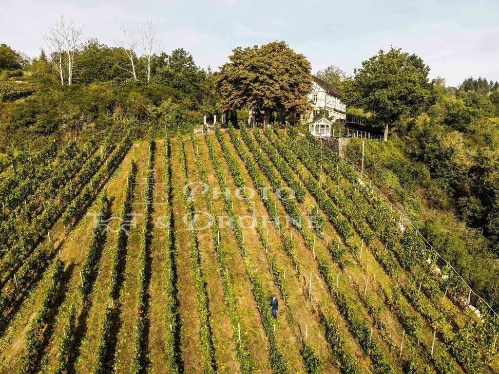 Oberwesel-0310 | Der Ölsberg in Oberwesel am Rhei ist eine der bedeutensten Weinlagen und ein tolles Fotomotiv. Kostenlos kann man sich unsere Fotos anschauen und online bestellen. - Realisiert mit Pictrs.com