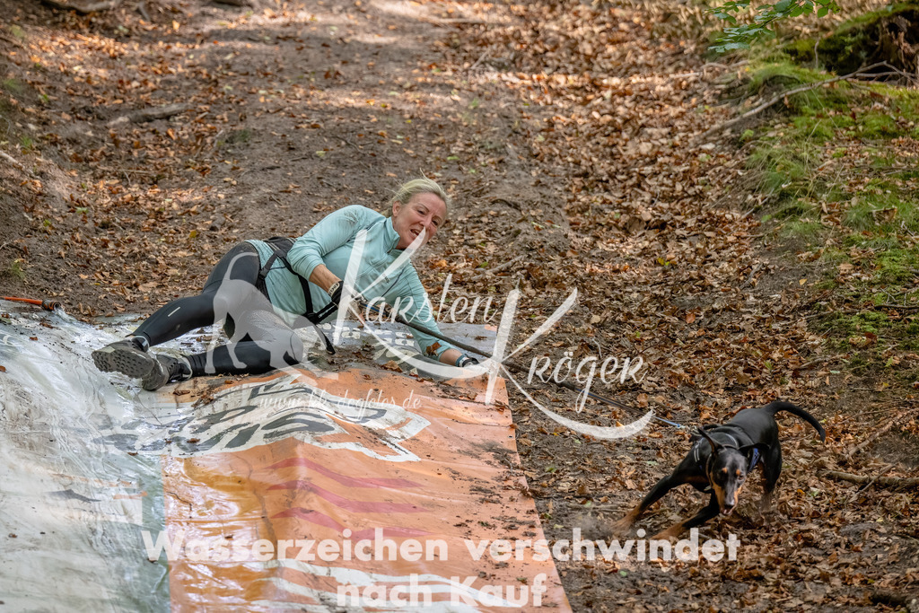 1253_ZZ91315-Bearbeitet | kk-dogfotos